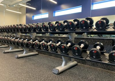 free weights rack